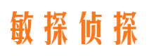 顺城市侦探公司